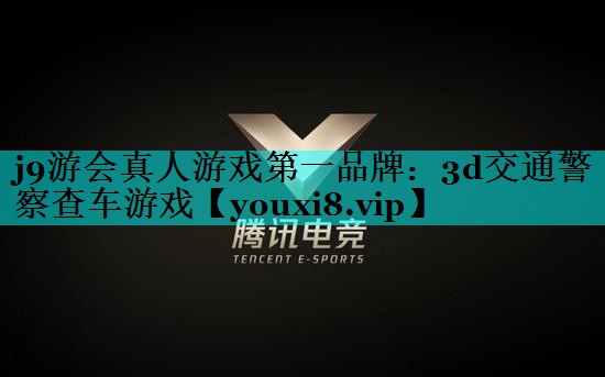 3d交通警察查车游戏