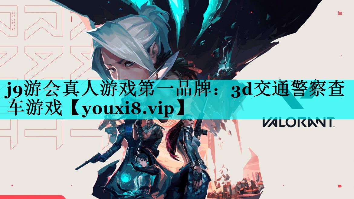 3d交通警察查车游戏