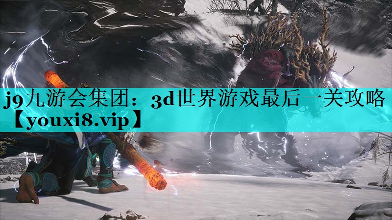 3d世界游戏最后一关攻略
